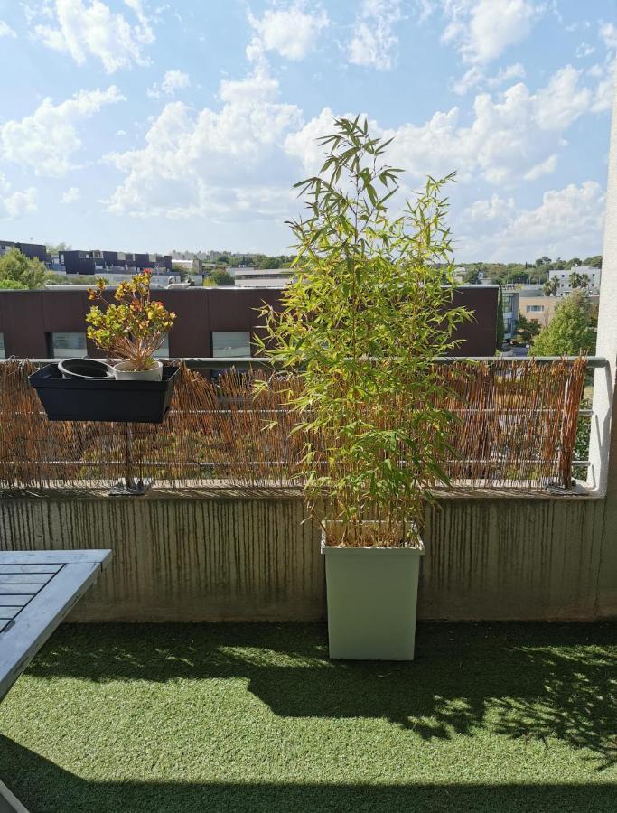Appart T1Bis Malbosc Montpellier Exterior foto